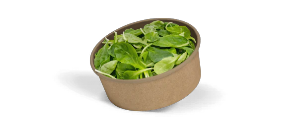 Saladebakken en bowls