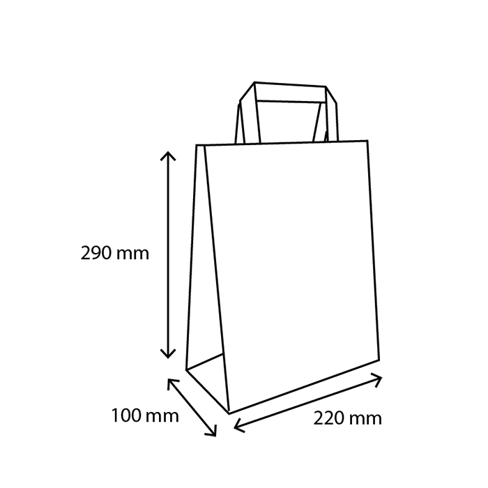 TakeAware.nl Papieren tasjes Klein kraft 80 gr. 22+10x29cm