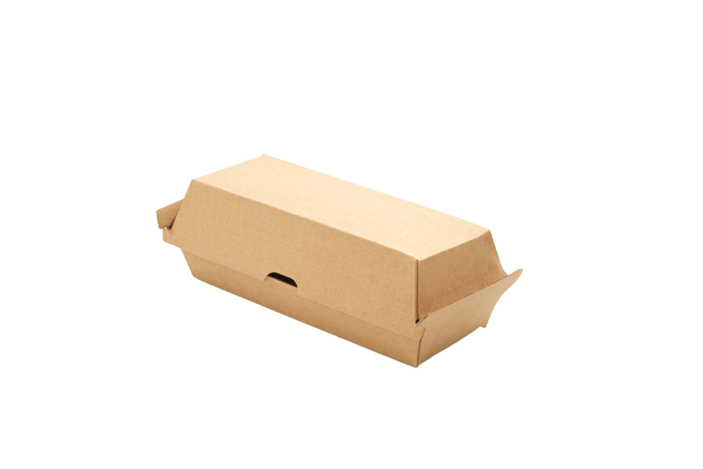 takeaware.nl Friet- en snackbakjes Hotdog box 18x7x7cm kraft