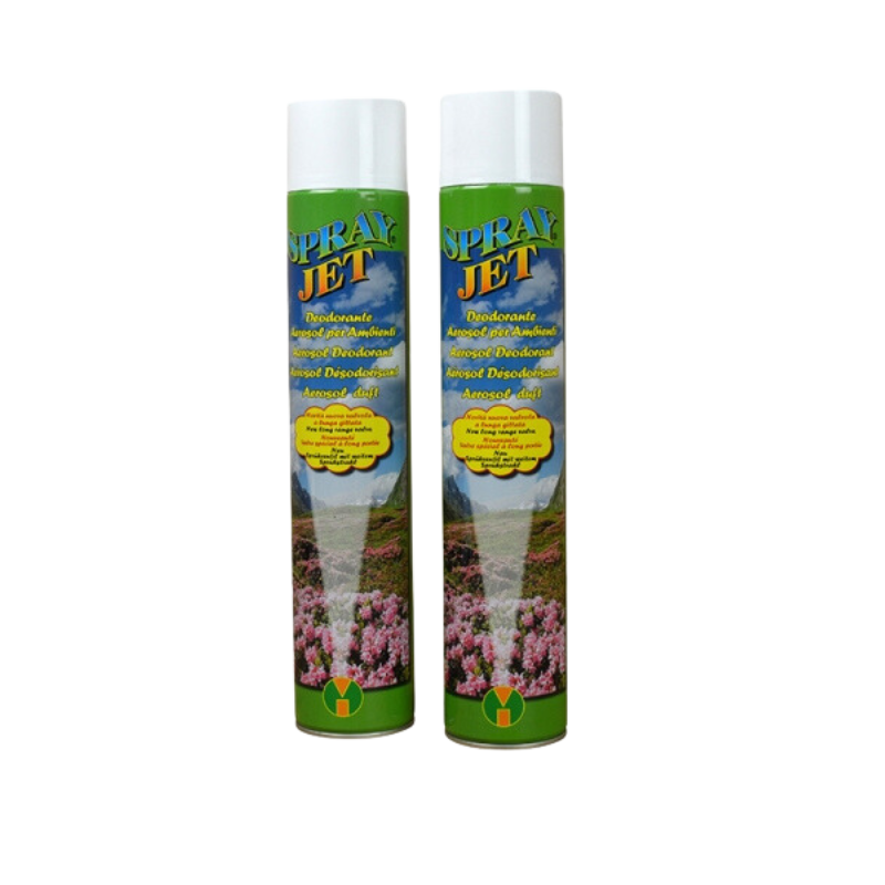 takeaware.nl Spuitbus luchtverfrisser Bouquet 12x750ml