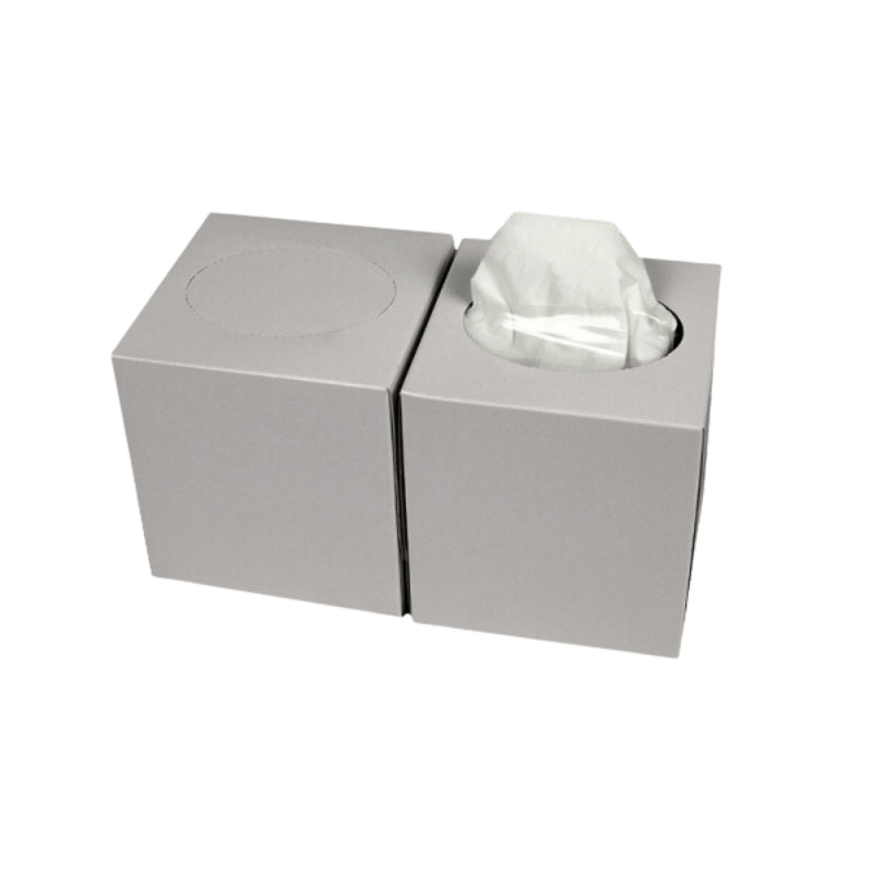takeaware.nl Handdoek- en poetspapier Facial tissues cellulose in Cube 21x20cm 2 laags