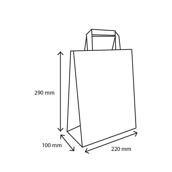 TakeAware.nl Papieren tasjes Klein bubbles 80 gr. 22+10x29cm