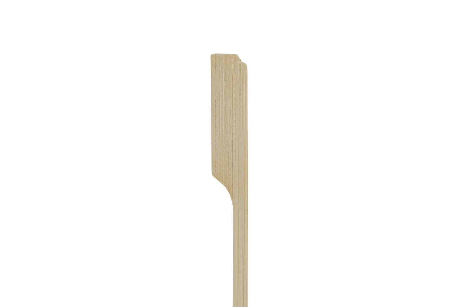 BIO Bamboe pin prikker 15cm