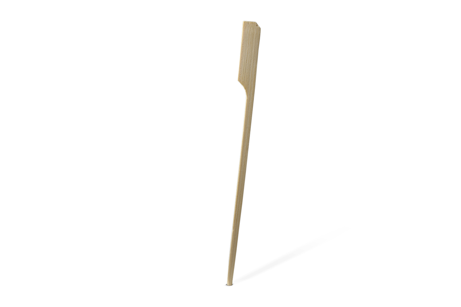 takeaware.nl Prikkers BIO Bamboe pin prikker 15cm