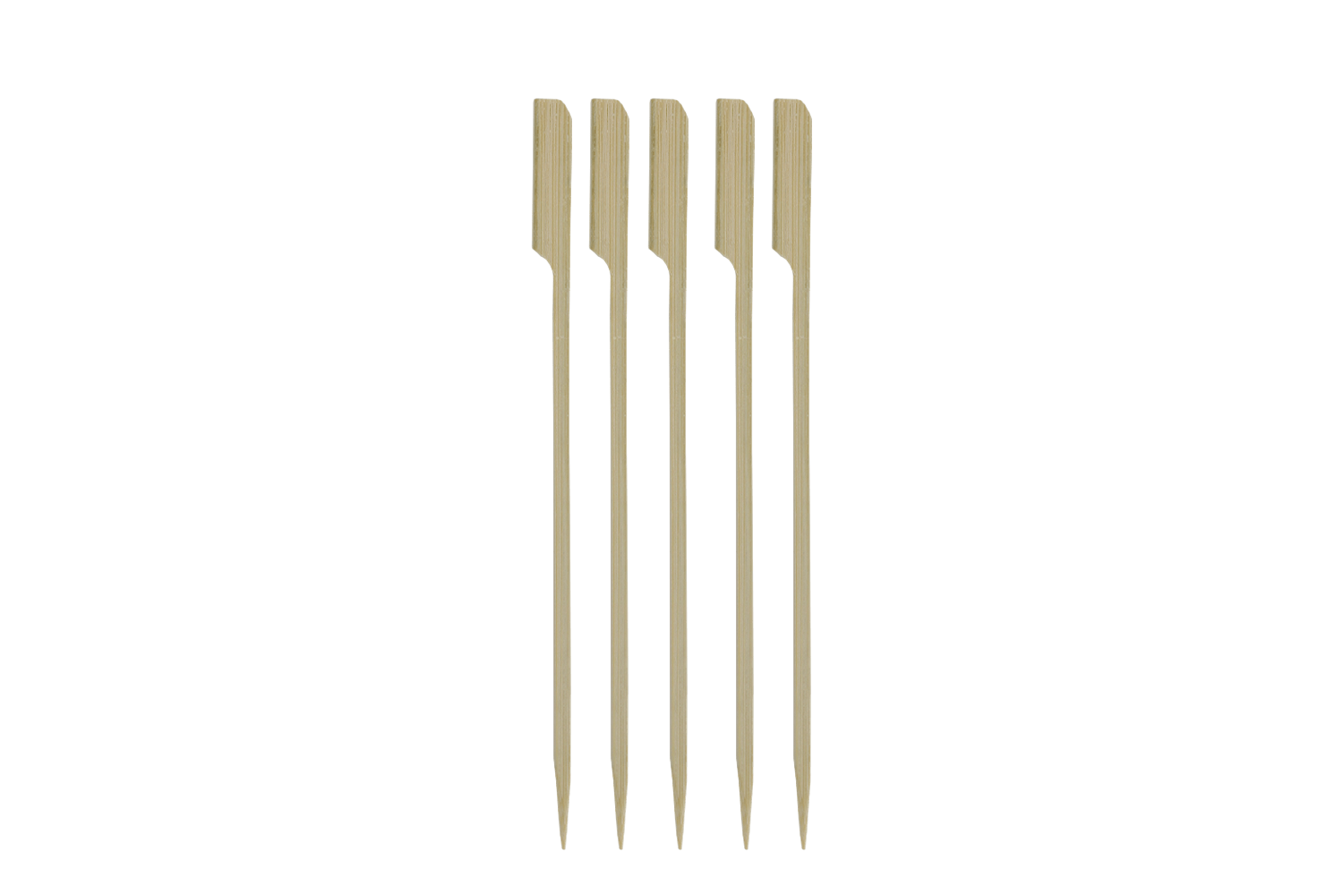 BIO Bamboe pin prikker 18cm