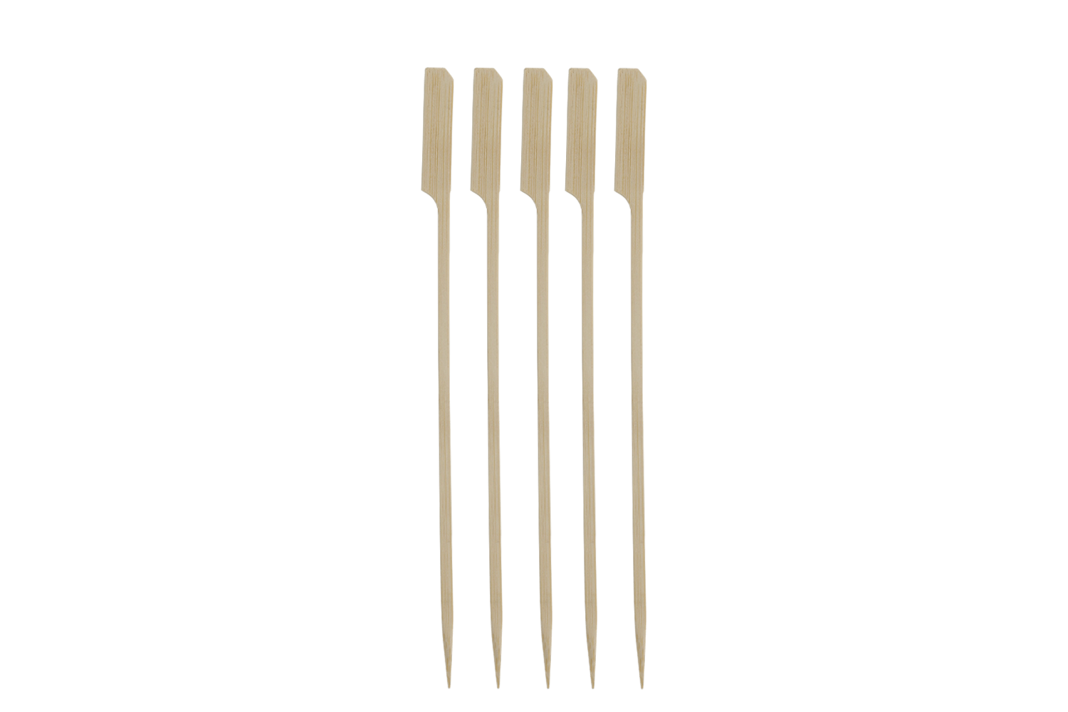 BIO Bamboe pin prikker 21cm