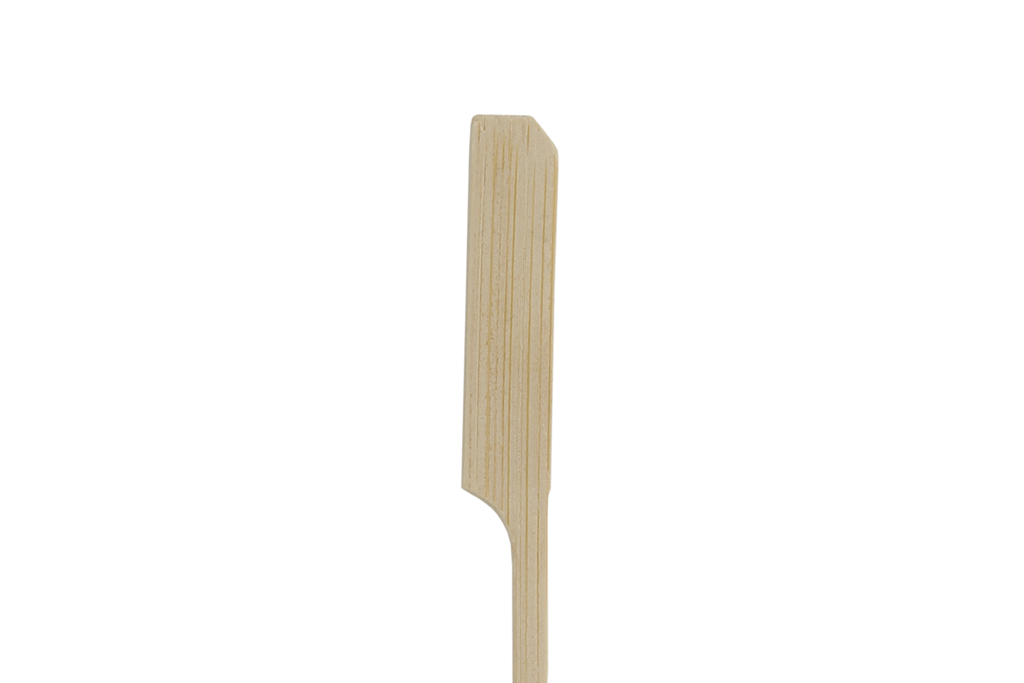 BIO Bamboe pin prikker 21cm