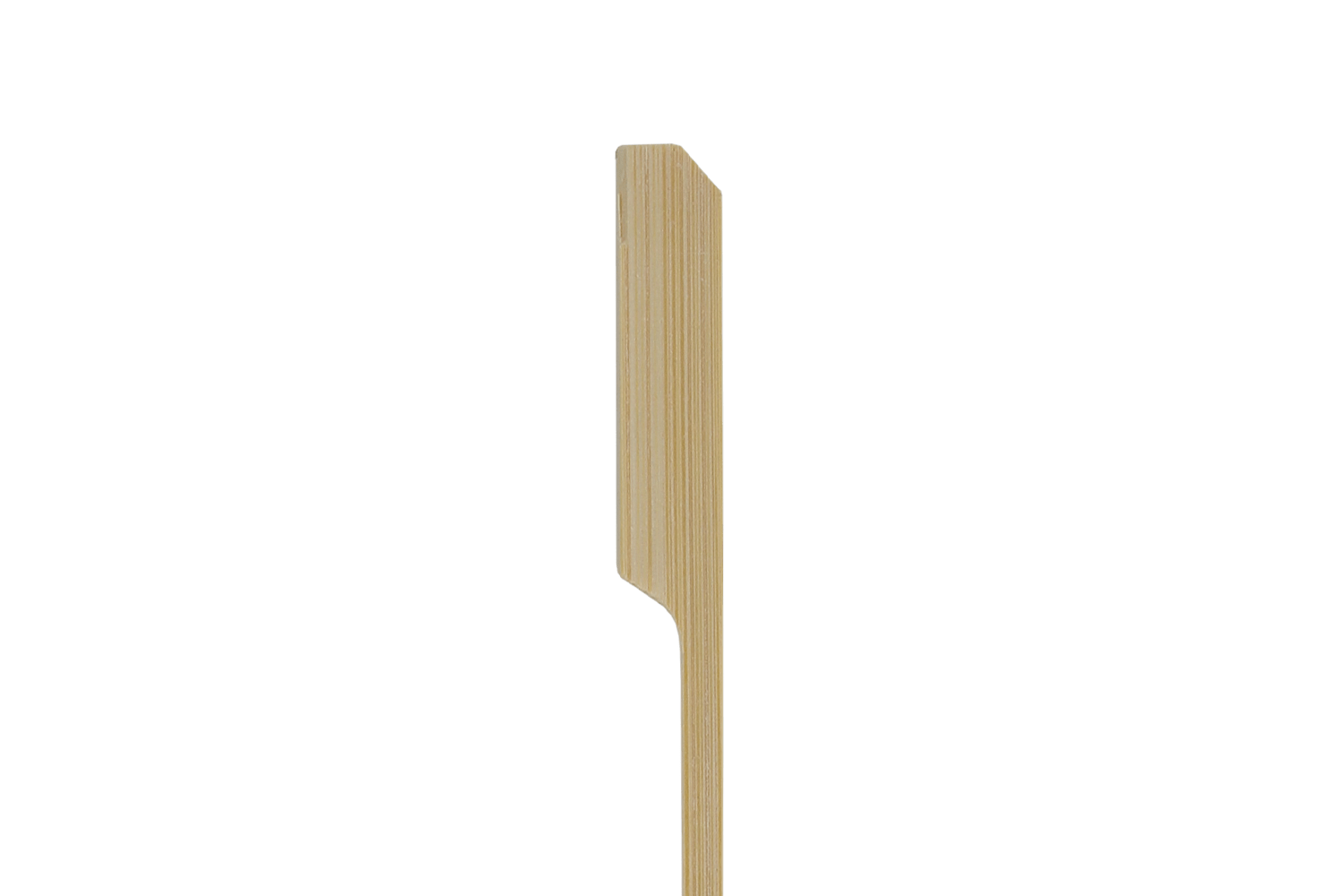 takeaware.nl Prikkers BIO Bamboe pin prikker 25cm