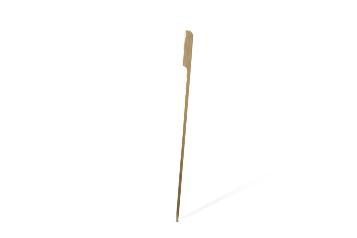 takeaware.nl Prikkers BIO Bamboe pin prikker 25cm