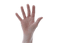 Gloves Vinyl Transparent Size L